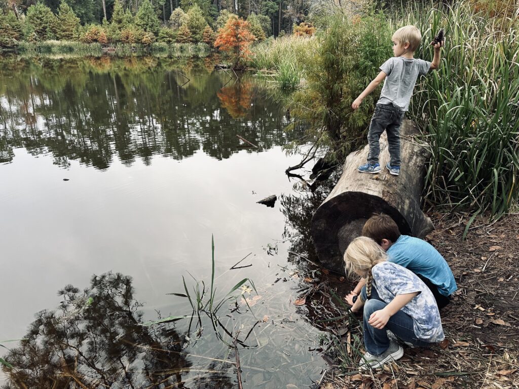 Children playing at lakes edge