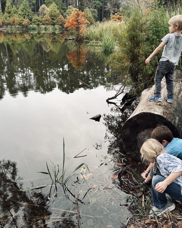 Children playing beside american lake
